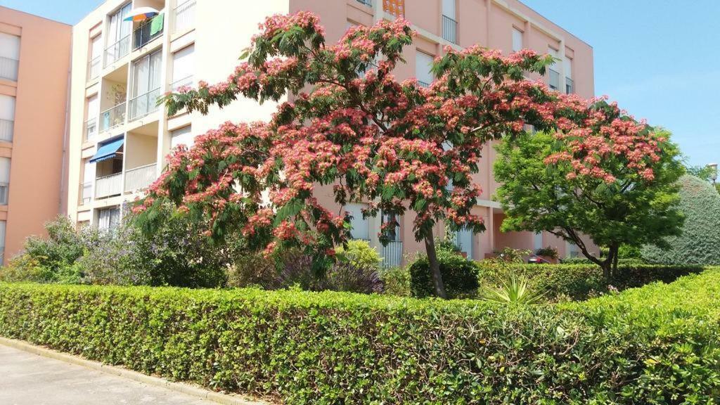 T3 Spacieux Et Lumineux A 5Min Du Port De Sanary - Fleur De Mai Apartment エクステリア 写真